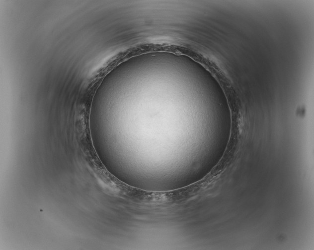 X0000111790968200907301142