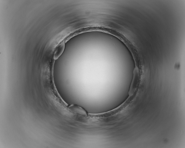 X0000111790969200907301142