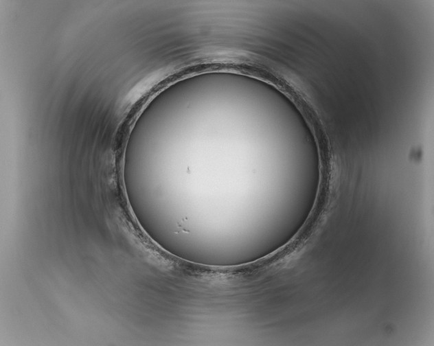 X0000111790970200907301142