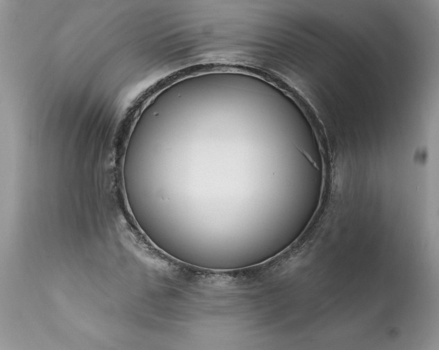 X0000111790971200907301142