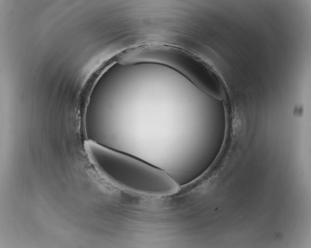 X0000111790973200907301142