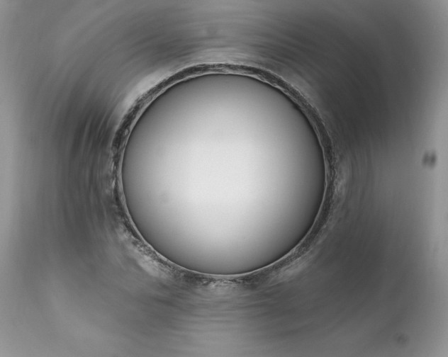 X0000111790974200907301141