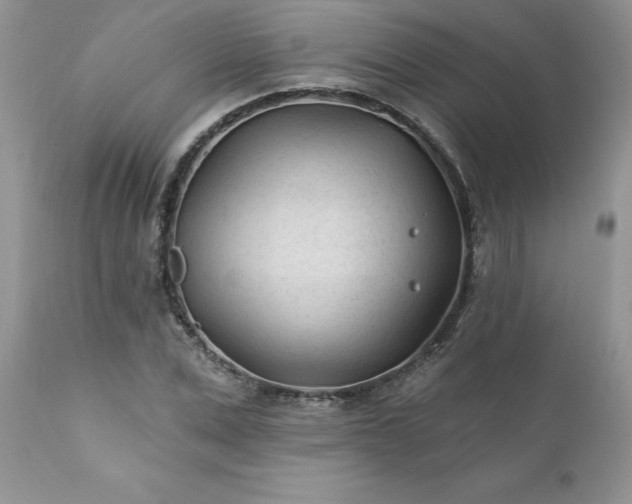 X0000111790975200907301141