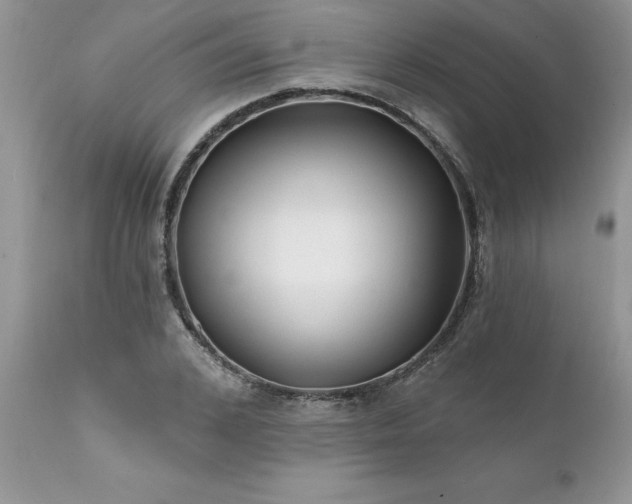 X0000111790976200907301141