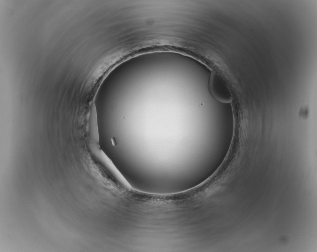 X0000111790977200907301141