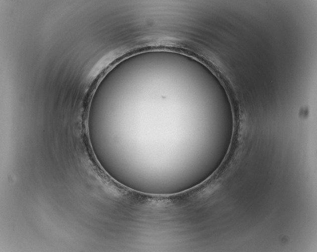 X0000111790978200907301141