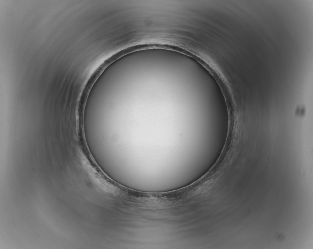 X0000111790980200907301141