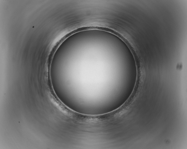 X0000111790982200907301141