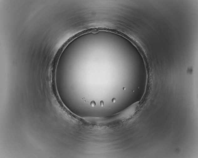 X0000111790983200907301141