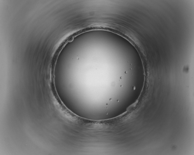 X0000111790984200907301141