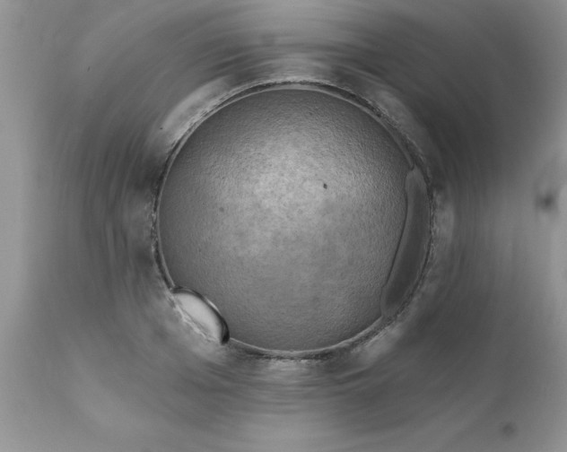 X0000111790985200907301141