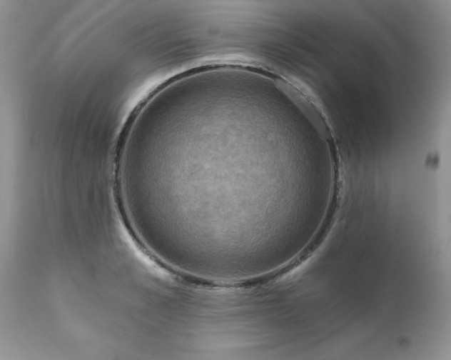 X0000111790989200907301141