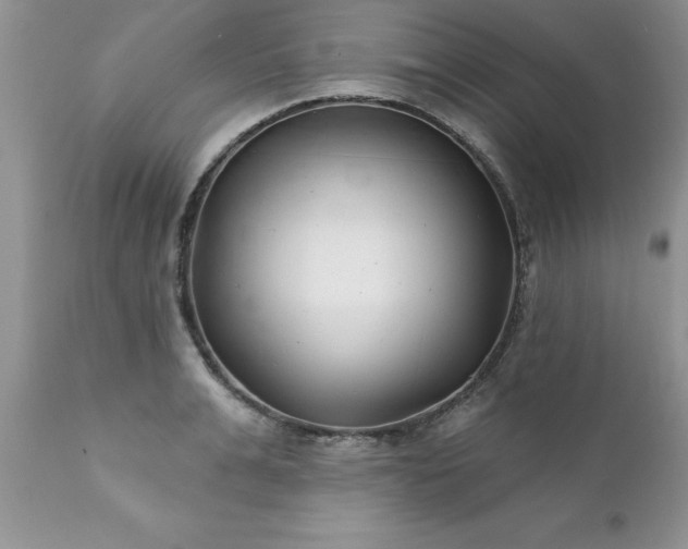 X0000111790991200907301141