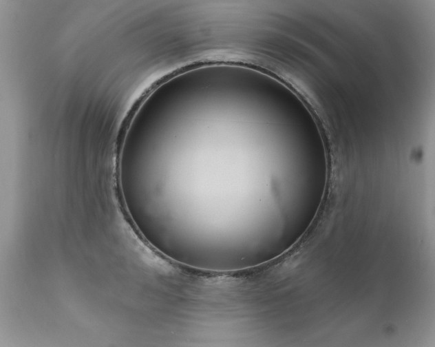 X0000111790992200907301141