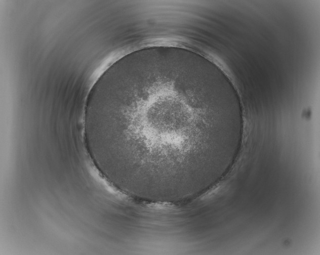 X0000111790994200907301141