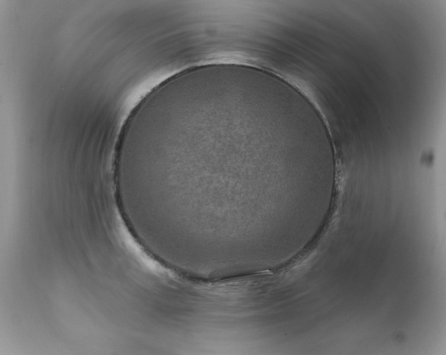 X0000111790995200907301141