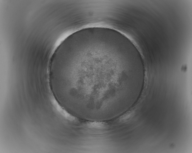 X0000111790998200907301141