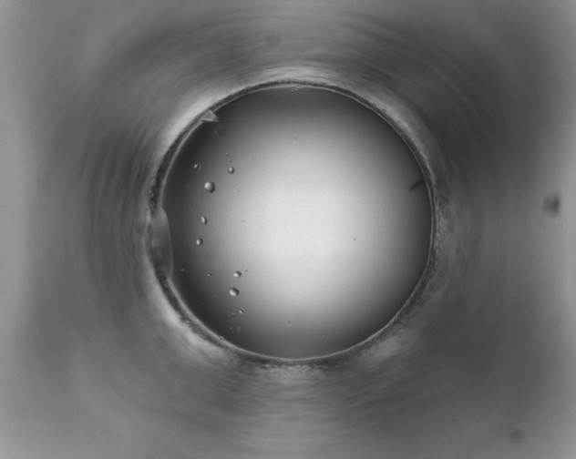 X0000111790999200907301141