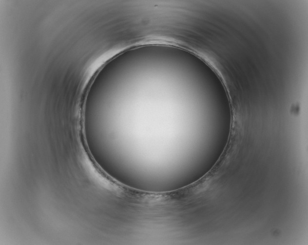 X0000111791003200907301141