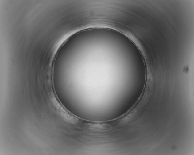 X0000111791004200907301141