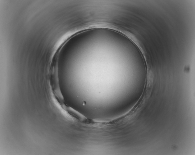 X0000111791005200907301141