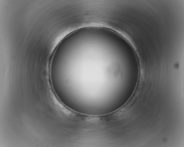 X0000111791006200907301141