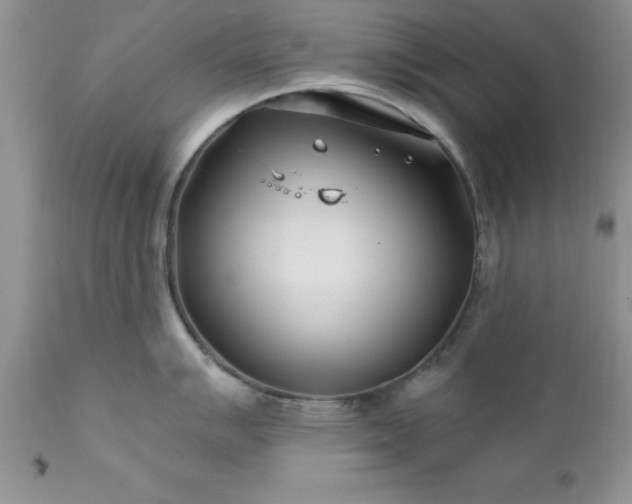 X0000111791007200907301141