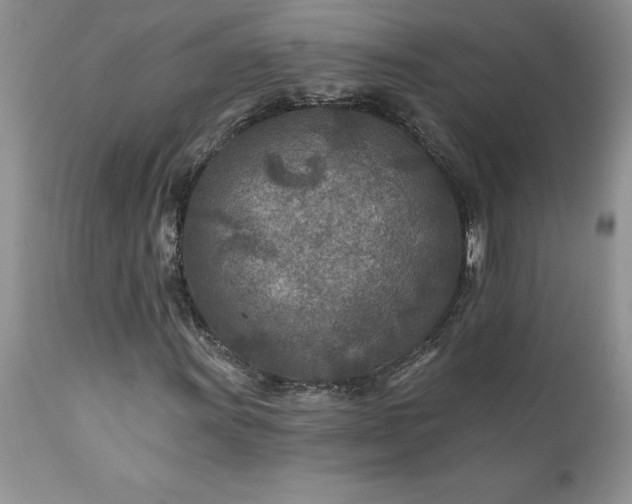 X0000111791011200907301140