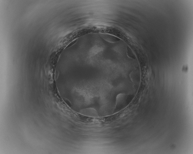 X0000111791013200907301140