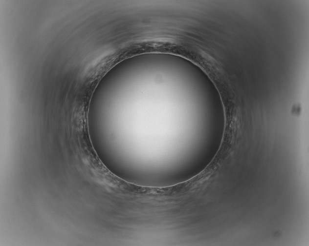 X0000111791014200907301140