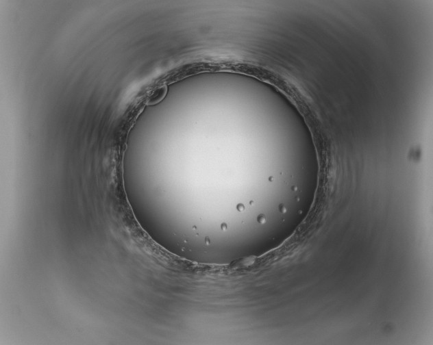 X0000111791016200907301140