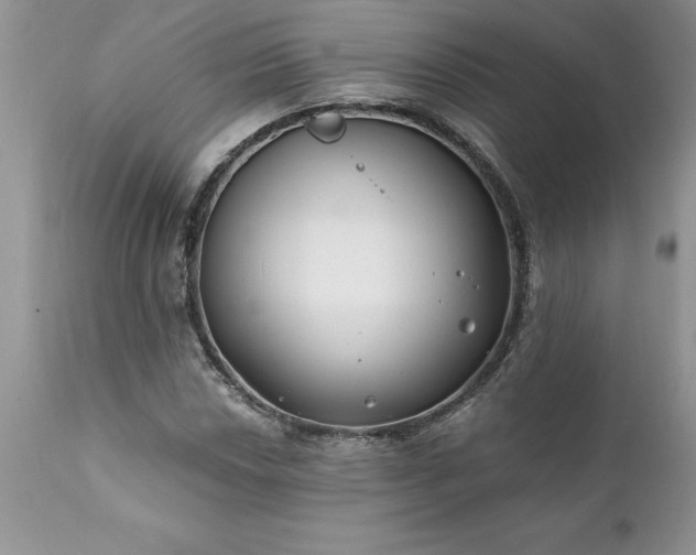 X0000111791018200907301140