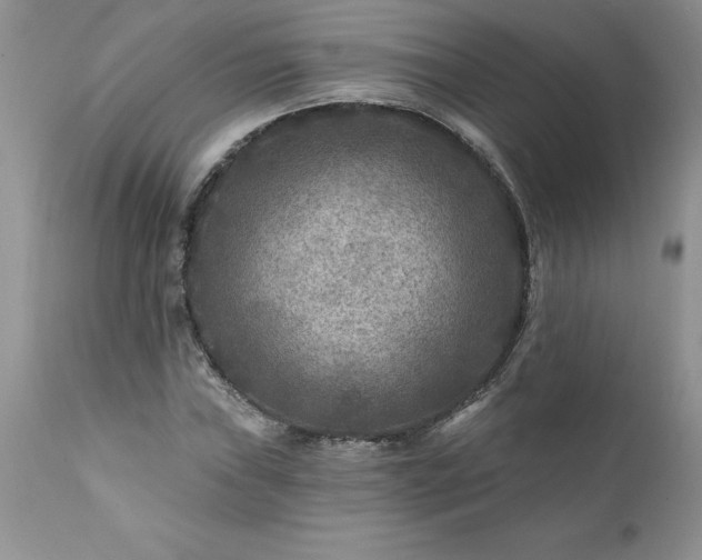 X0000111791019200907301141