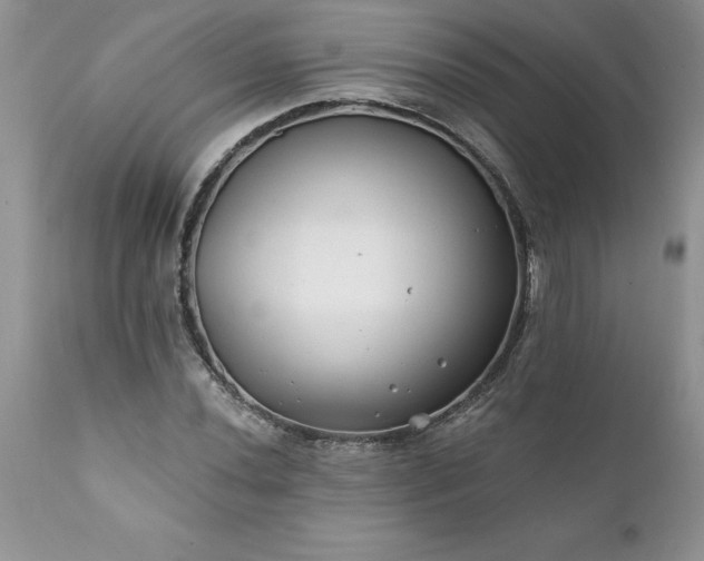 X0000111791020200907301141