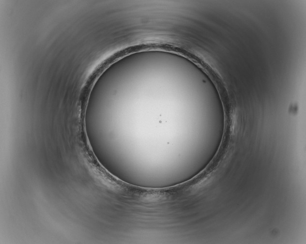 X0000111791021200907301141