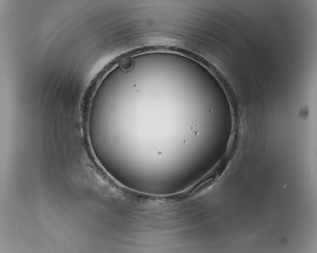 X0000111791022200907301141