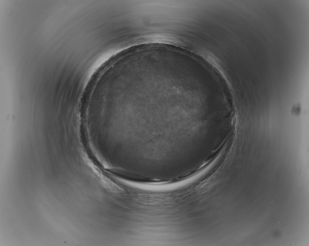 X0000111791024200907301141