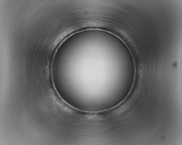 X0000111791025200907301141