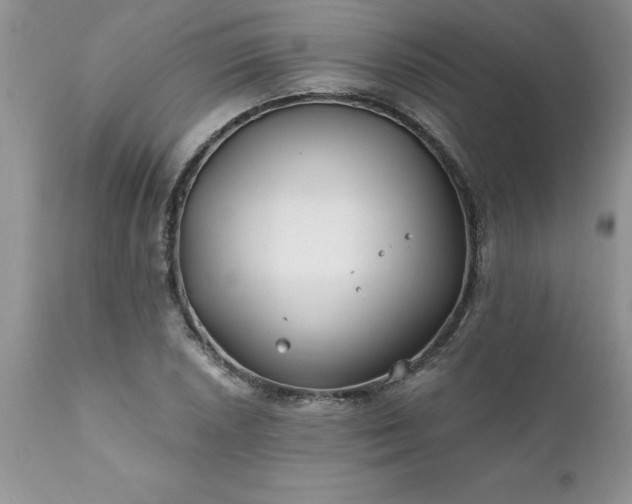 X0000111791026200907301141