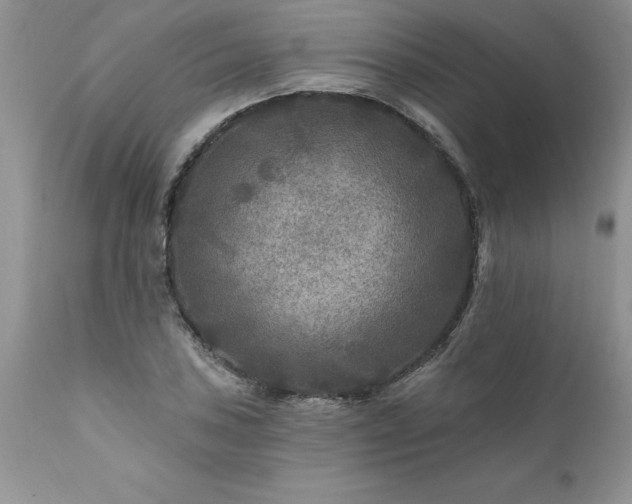 X0000111791027200907301141