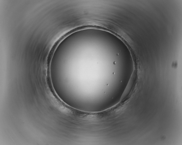 X0000111791028200907301141