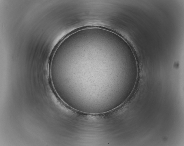 X0000111791032200907301141