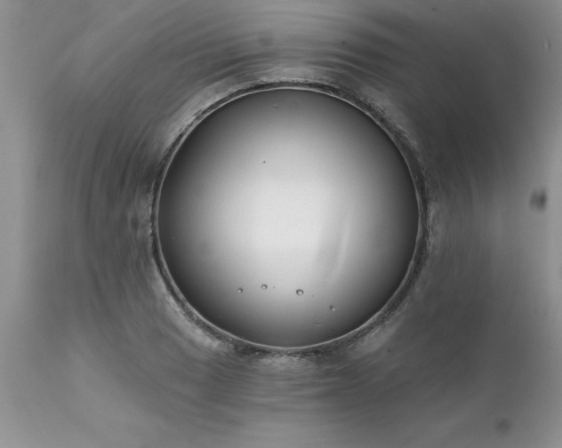 X0000111791033200907301141