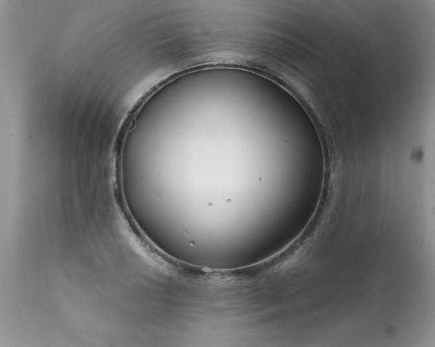 X0000111791034200907301141