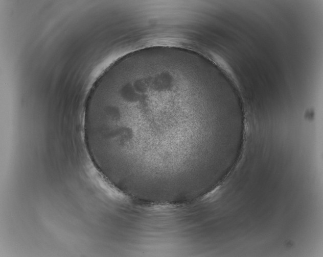 X0000111791035200907301141