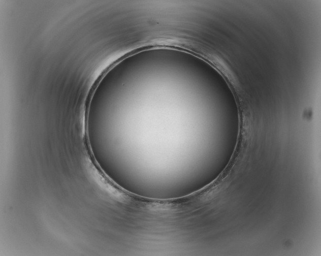 X0000111791036200907301141