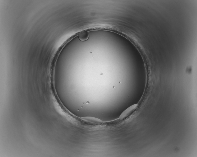 X0000111791038200907301141