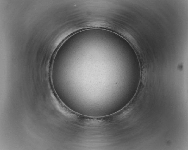 X0000111791039200907301141