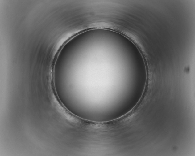 X0000111791040200907301141