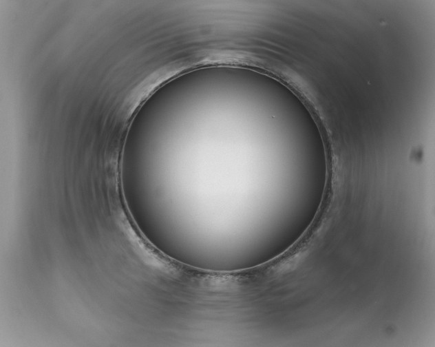 X0000111791041200907301141